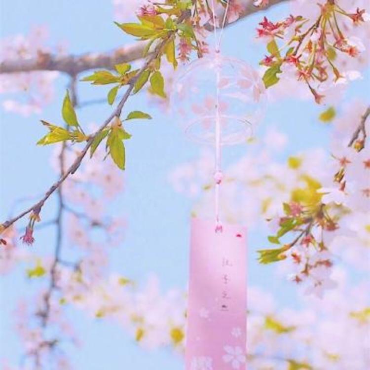 绫野刚（饰 外印） - 怀旧港剧全集在线观看 - 客户端观影